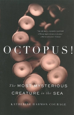 Octopus!