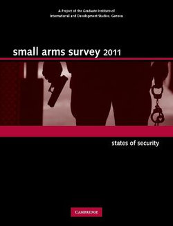 Small Arms Survey 2011