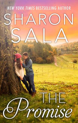 The Promise (novella)