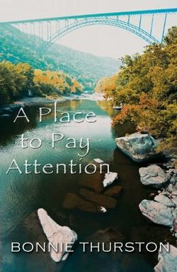 Place to Pay Attention, A