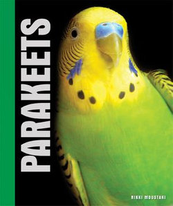 Your Parakeet