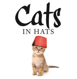 Cats in Hats