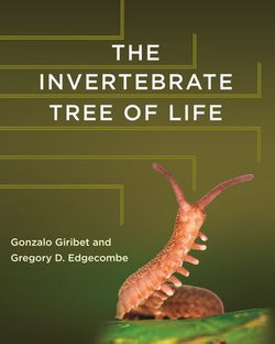 The Invertebrate Tree of Life