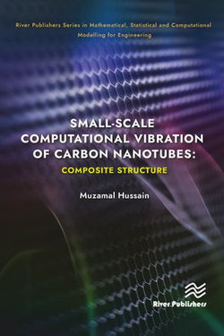 Small-scale Computational Vibration of Carbon Nanotubes: Composite Structure