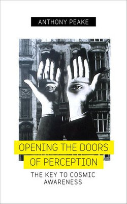 Opening the Doors of Perception