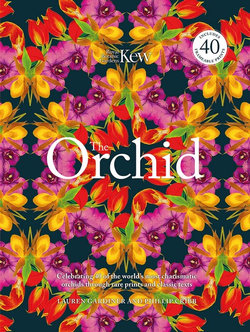 The Orchid: Royal Botanical Gardens, Kew