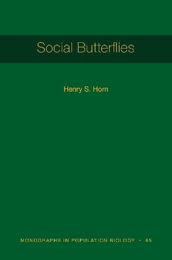 Social Butterflies