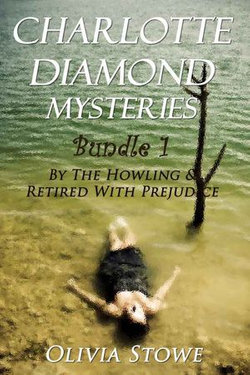 Charlotte Diamond Mysteries 1