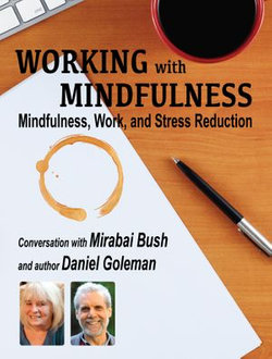 Working with Mindfulness: Mindfulness, Work, and Stress Reduction