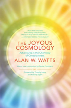 The Joyous Cosmology