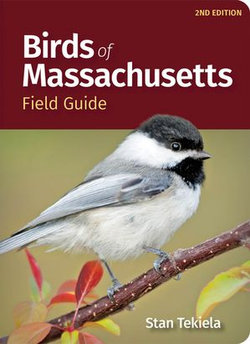 Birds of Massachusetts Field Guide