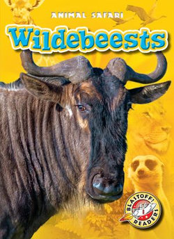 Wildebeests