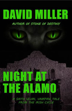 Night at the Alamo