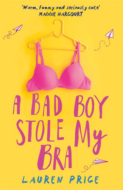 A Bad Boy Stole My Bra