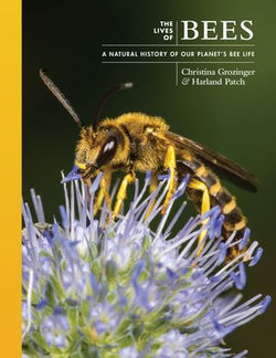 The Lives of Bees