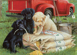 Just Dogs Jigsaw