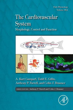 The Cardiovascular System