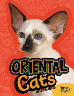 Oriental Cats