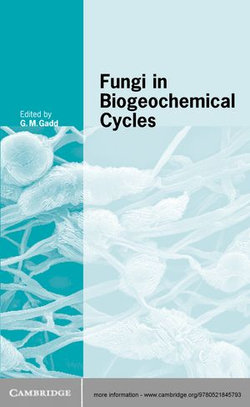 Fungi in Biogeochemical Cycles