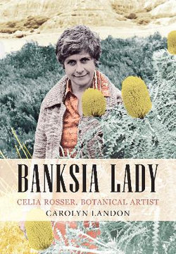 Banksia Lady