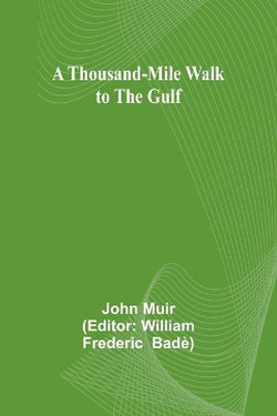 A Thousand-Mile Walk to the Gulf