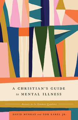 A Christian's Guide to Mental Illness