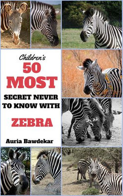 50 Most Secret With Zebras