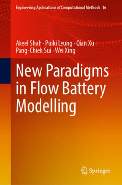 New Paradigms in Flow Battery Modelling