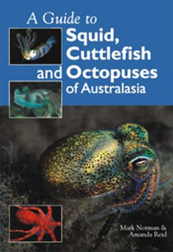 Guide to Squid, Cuttlefish and Octopuses of Australasia