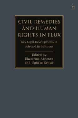 Civil Remedies and Human Rights in Flux