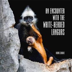 An Encounter with White-Headed Langurs