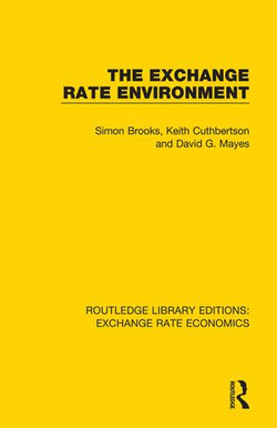 The Exchange Rate Environment