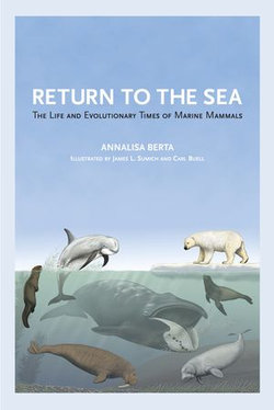 Return to the Sea