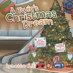 A Twin’s Christmas Dream