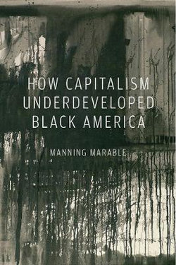 How Capitalism Underdeveloped Black America