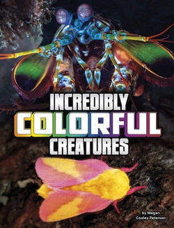 Incredibly Colorful Creatures