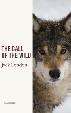 The Call of the Wild