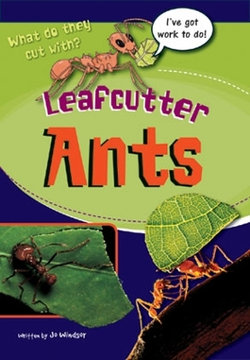 Leafcutter Ants