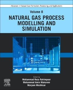 Advances in Natural Gas: Formation, Processing, and Applications. Volume 8: Natural Gas Process Modelling and Simulation