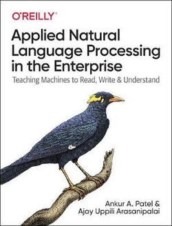 Applied Natural Language Processing in the Enterprise