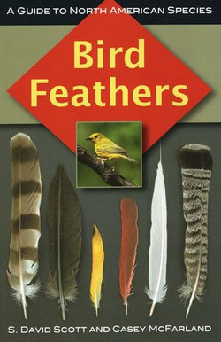 Bird Feathers