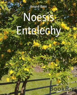 Noesis Entelechy