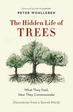 The Hidden Life of Trees