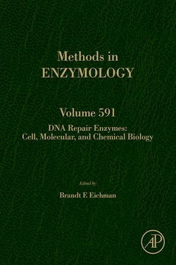 DNA Repair Enzymes: Cell, Molecular, and Chemical Biology