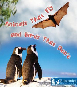 Animals That Fly and Birds That Don't