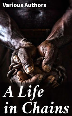 A Life in Chains