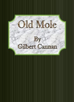 Old Mole