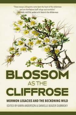 Blossom as the Cliffrose