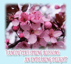 Vancouver's Spring Blossoms