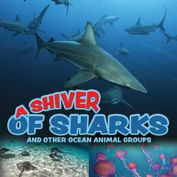 A Shiver of Sharks